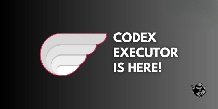 What To Do If CodeX Executor isn't Working